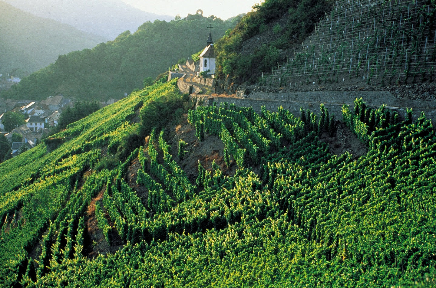 Domaine Schoffit  Rangen Clos St Theobald Grand Cru Gewurztraminer & Riesling